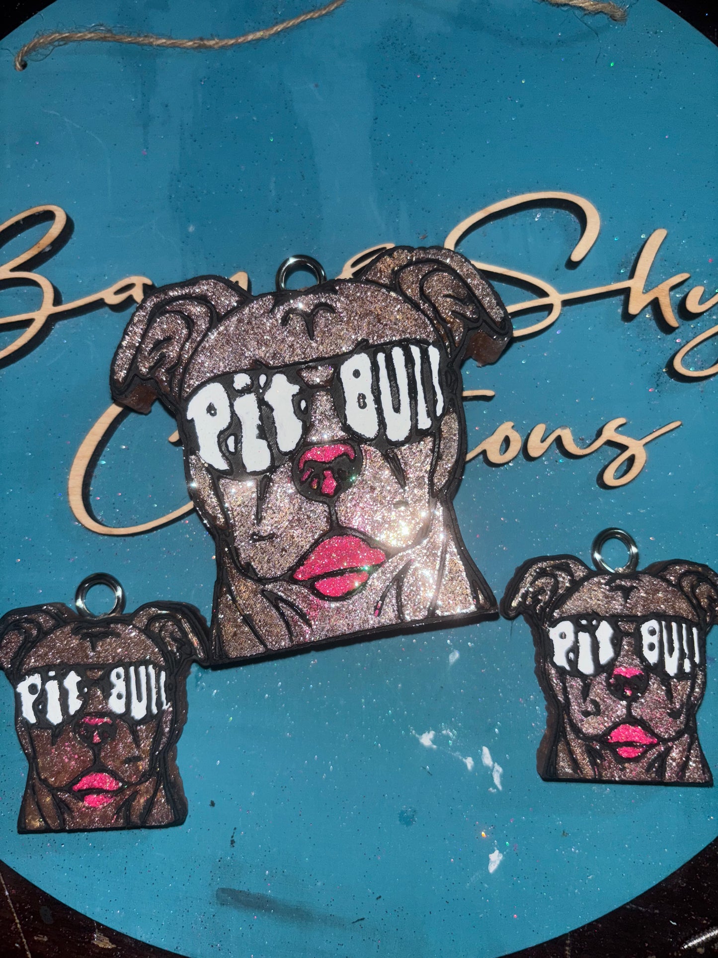 Bully Sunglasses Freshie & Vent Clips Set