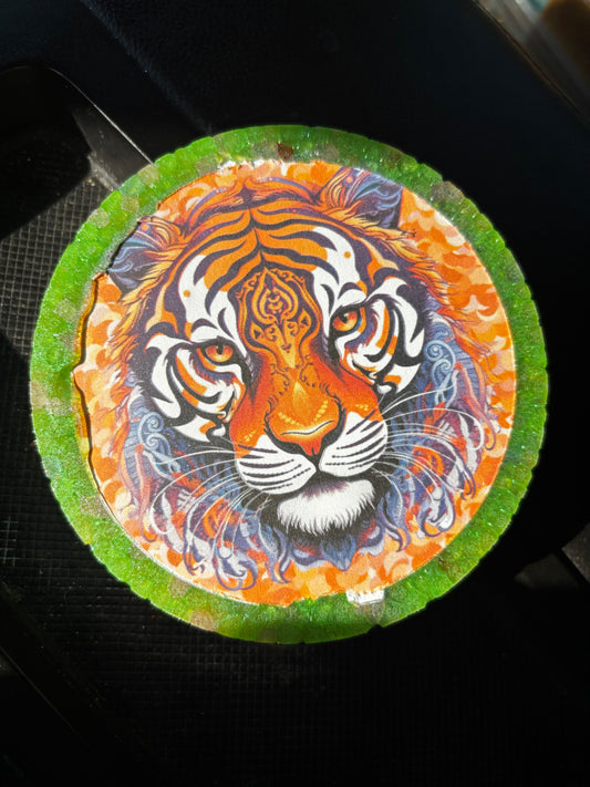 LSU Tiger Freshie
