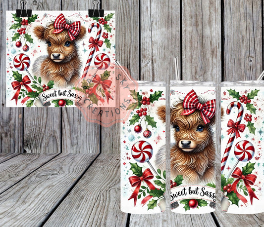 Sweet and Sassy Tumbler