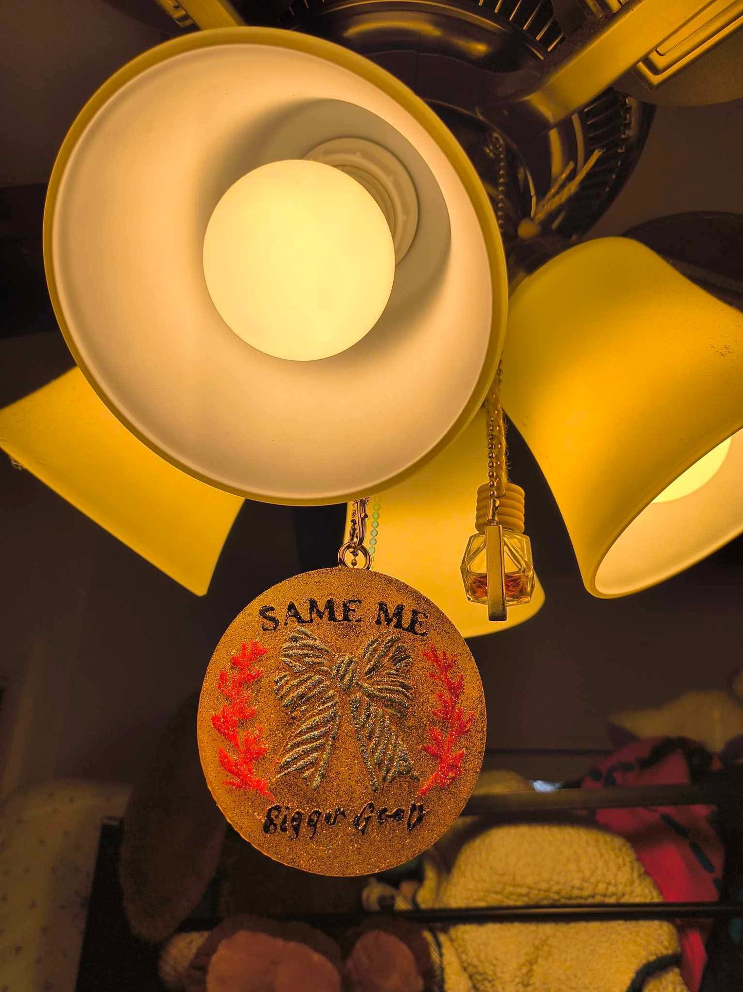 Same Me Bigger Goals Freshie