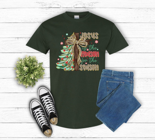 Jesus is the Reason T-Shirts